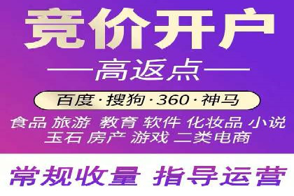 行业精英的SEM竞价经验与案例分享